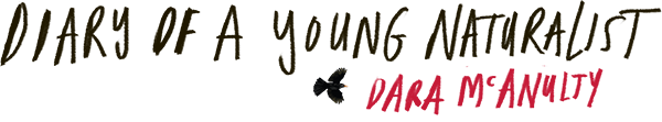 Diary of a Young Naturalist by Dara McAunlty Logo